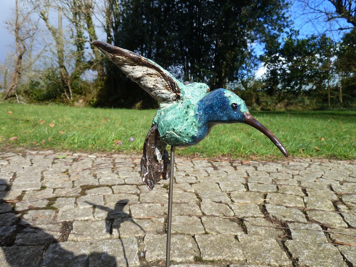 Oiseau de Paradis