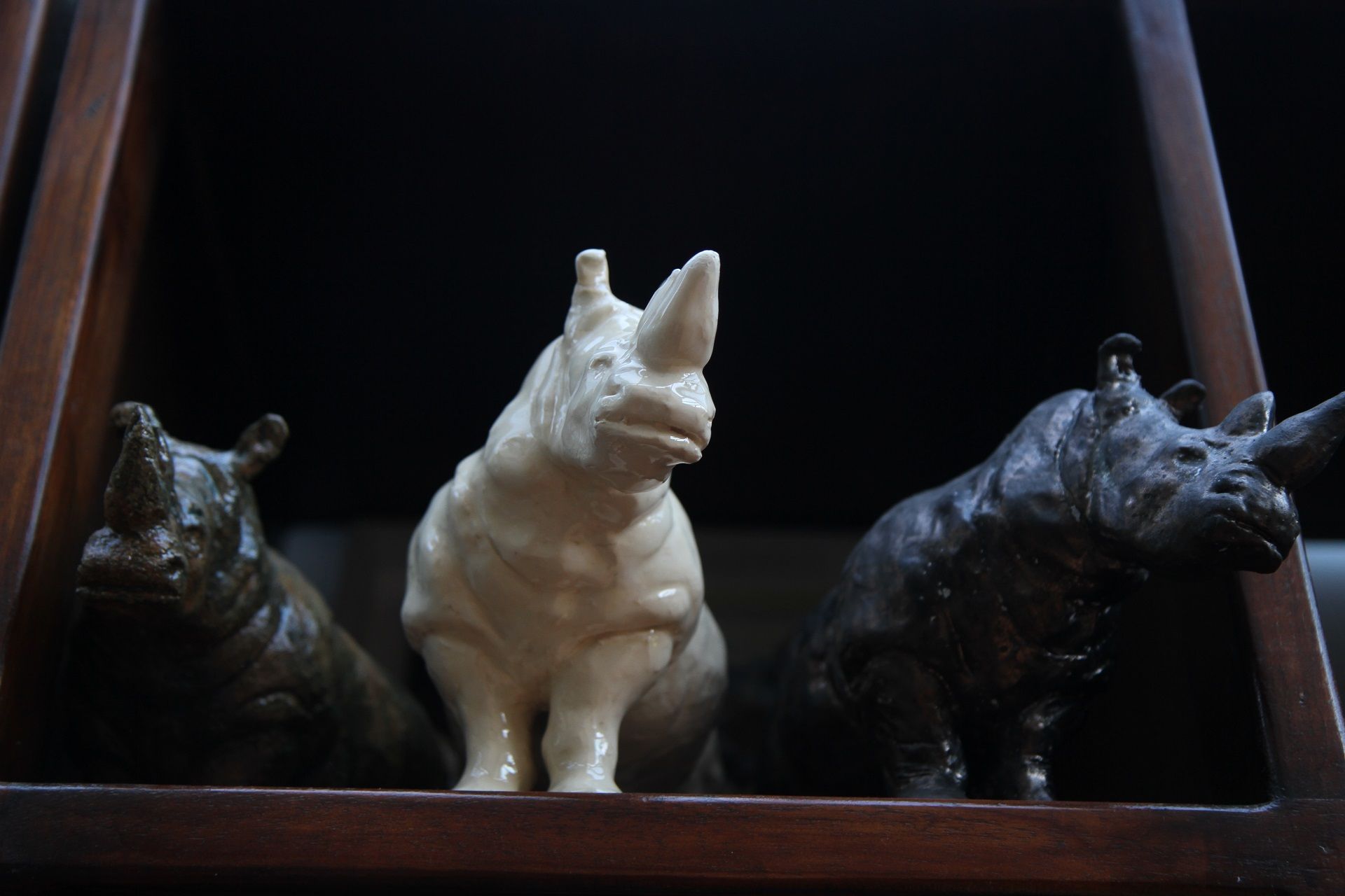 Rhinos